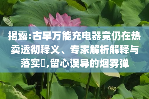 揭露:古早萬(wàn)能充電器竟仍在熱賣透徹釋義、專家解析解釋與落實(shí)?,留心誤導(dǎo)的煙霧彈