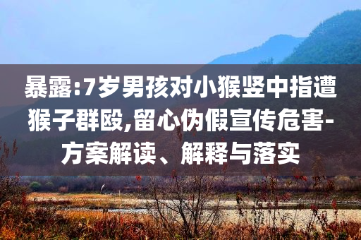 暴露:7歲男孩對(duì)小猴豎中指遭猴子群毆,留心偽假宣傳危害-方案解讀、解釋與落實(shí)