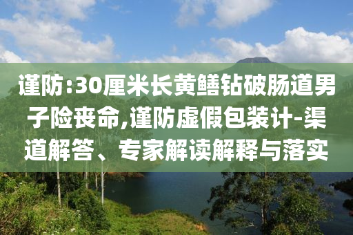 謹防:30厘米長黃鱔鉆破腸道男子險喪命,謹防虛假包裝計-渠道解答、專家解讀解釋與落實