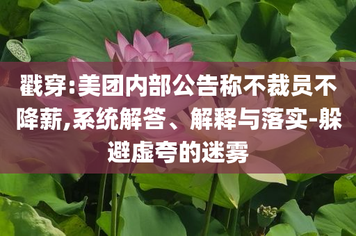 戳穿:美團內(nèi)部公告稱不裁員不降薪,系統(tǒng)解答、解釋與落實-躲避虛夸的迷霧