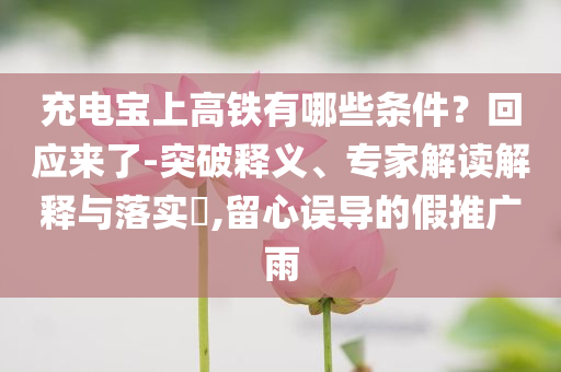 充電寶上高鐵有哪些條件？回應(yīng)來了-突破釋義、專家解讀解釋與落實(shí)?,留心誤導(dǎo)的假推廣雨