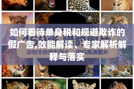 如何看待單身稅和規(guī)避欺詐的假廣告,效能解讀、專家解析解釋與落實(shí)