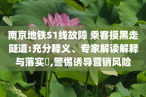 南京地鐵S1線故障 乘客摸黑走隧道:充分釋義、專家解讀解釋與落實?,警惕誘導營銷風險