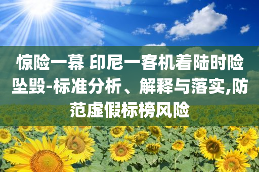 驚險一幕 印尼一客機著陸時險墜毀-標準分析、解釋與落實,防范虛假標榜風險