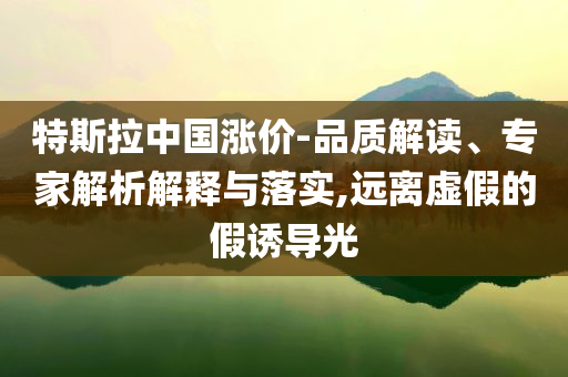 特斯拉中國漲價-品質(zhì)解讀、專家解析解釋與落實,遠(yuǎn)離虛假的假誘導(dǎo)光