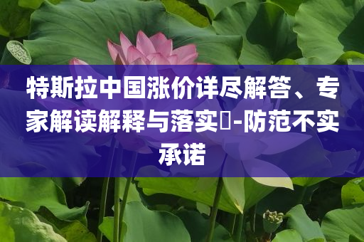 特斯拉中國(guó)漲價(jià)詳盡解答、專家解讀解釋與落實(shí)?-防范不實(shí)承諾