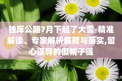 獨(dú)庫(kù)公路7月下起了大雪-精準(zhǔn)解讀、專家解析解釋與落實(shí),留心誤導(dǎo)的假幌子鏈