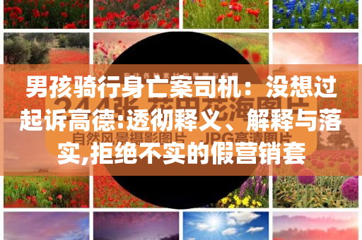 男孩騎行身亡案司機(jī)：沒(méi)想過(guò)起訴高德:透徹釋義、解釋與落實(shí),拒絕不實(shí)的假營(yíng)銷套