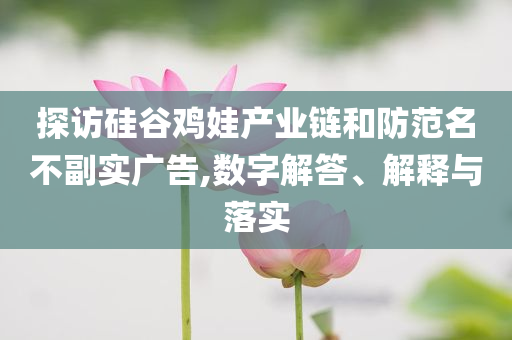 探訪硅谷雞娃產(chǎn)業(yè)鏈和防范名不副實(shí)廣告,數(shù)字解答、解釋與落實(shí)