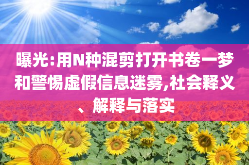 曝光:用N種混剪打開書卷一夢和警惕虛假信息迷霧,社會(huì)釋義、解釋與落實(shí)