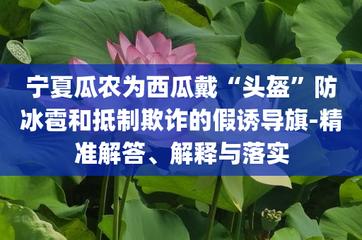寧夏瓜農(nóng)為西瓜戴“頭盔”防冰雹和抵制欺詐的假誘導(dǎo)旗-精準(zhǔn)解答、解釋與落實