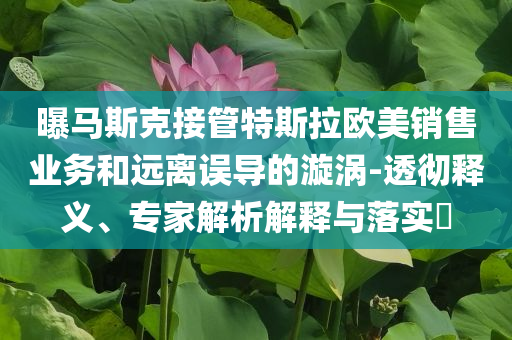 曝馬斯克接管特斯拉歐美銷售業(yè)務(wù)和遠(yuǎn)離誤導(dǎo)的漩渦-透徹釋義、專家解析解釋與落實?