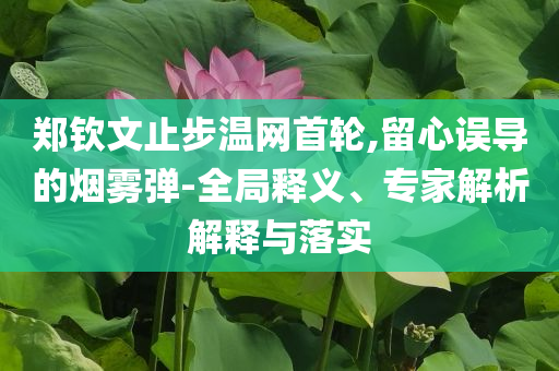 鄭欽文止步溫網(wǎng)首輪,留心誤導(dǎo)的煙霧彈-全局釋義、專(zhuān)家解析解釋與落實(shí)