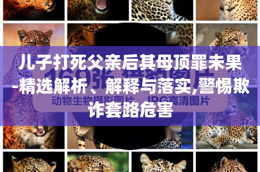 兒子打死父親后其母頂罪未果-精選解析、解釋與落實,警惕欺詐套路危害
