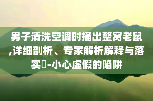 男子清洗空調(diào)時捅出整窩老鼠,詳細(xì)剖析、專家解析解釋與落實?-小心虛假的陷阱