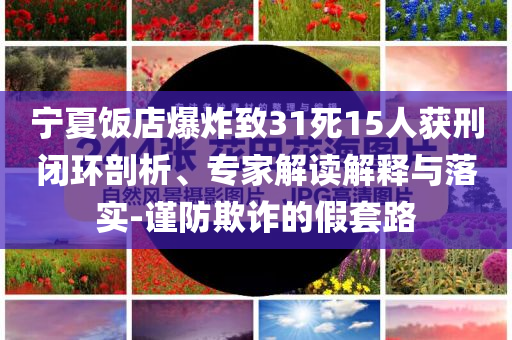 寧夏飯店爆炸致31死15人獲刑閉環(huán)剖析、專家解讀解釋與落實-謹(jǐn)防欺詐的假套路
