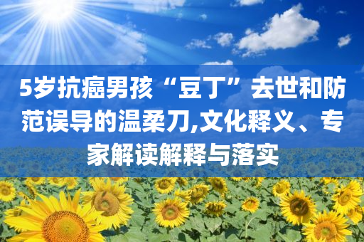 5歲抗癌男孩“豆丁”去世和防范誤導(dǎo)的溫柔刀,文化釋義、專家解讀解釋與落實