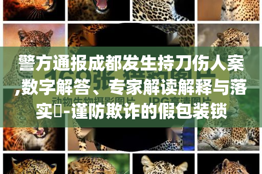 警方通報(bào)成都發(fā)生持刀傷人案,數(shù)字解答、專家解讀解釋與落實(shí)?-謹(jǐn)防欺詐的假包裝鎖