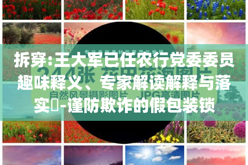 拆穿:王大軍已任農(nóng)行黨委委員趣味釋義、專家解讀解釋與落實?-謹(jǐn)防欺詐的假包裝鎖