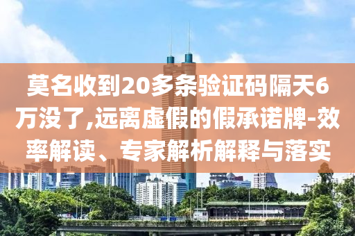 莫名收到20多條驗證碼隔天6萬沒了,遠離虛假的假承諾牌-效率解讀、專家解析解釋與落實
