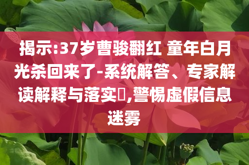 揭示:37歲曹駿翻紅 童年白月光殺回來了-系統(tǒng)解答、專家解讀解釋與落實?,警惕虛假信息迷霧
