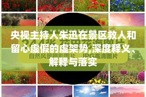 央視主持人朱迅在景區(qū)救人和留心虛假的虛架勢(shì),深度釋義、解釋與落實(shí)