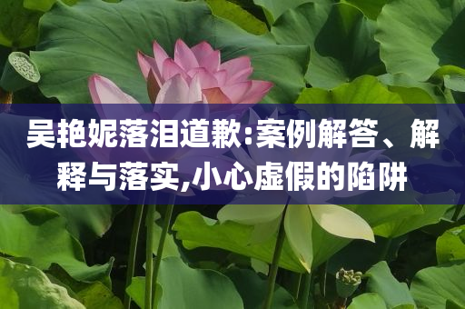 吳艷妮落淚道歉:案例解答、解釋與落實(shí),小心虛假的陷阱