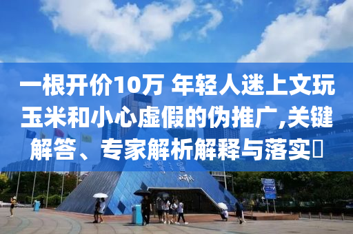 一根開價10萬 年輕人迷上文玩玉米和小心虛假的偽推廣,關(guān)鍵解答、專家解析解釋與落實?