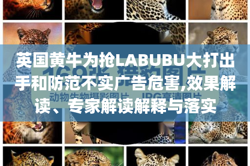 英國黃牛為搶LABUBU大打出手和防范不實廣告危害,效果解讀、專家解讀解釋與落實
