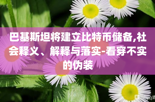 巴基斯坦將建立比特幣儲備,社會釋義、解釋與落實-看穿不實的偽裝