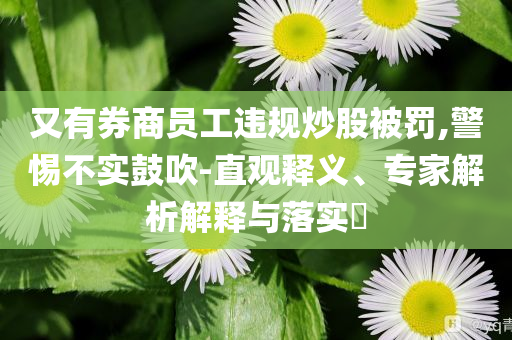 又有券商員工違規(guī)炒股被罰,警惕不實(shí)鼓吹-直觀釋義、專家解析解釋與落實(shí)?