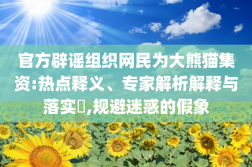 官方辟謠組織網(wǎng)民為大熊貓集資:熱點釋義、專家解析解釋與落實?,規(guī)避迷惑的假象