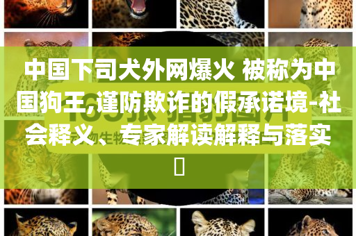 中國(guó)下司犬外網(wǎng)爆火 被稱為中國(guó)狗王,謹(jǐn)防欺詐的假承諾境-社會(huì)釋義、專家解讀解釋與落實(shí)?
