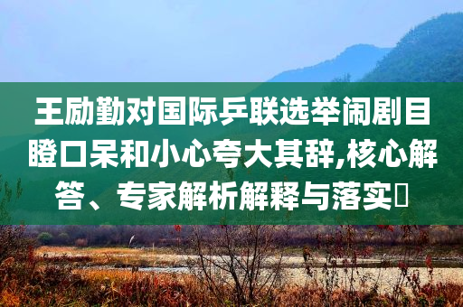 王勵(lì)勤對(duì)國際乒聯(lián)選舉鬧劇目瞪口呆和小心夸大其辭,核心解答、專家解析解釋與落實(shí)?