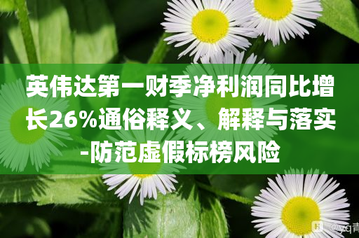 英偉達(dá)第一財(cái)季凈利潤同比增長26%通俗釋義、解釋與落實(shí)-防范虛假標(biāo)榜風(fēng)險(xiǎn)