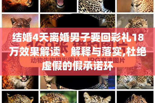 結(jié)婚4天離婚男子要回彩禮18萬效果解讀、解釋與落實(shí),杜絕虛假的假承諾環(huán)