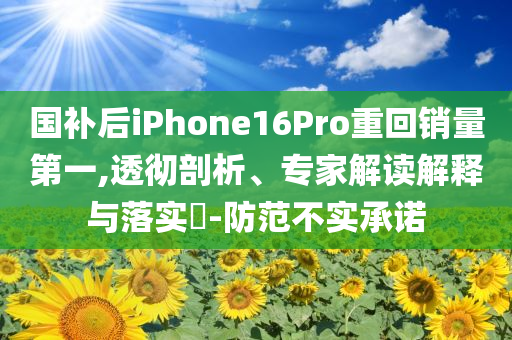 國補(bǔ)后iPhone16Pro重回銷量第一,透徹剖析、專家解讀解釋與落實(shí)?-防范不實(shí)承諾