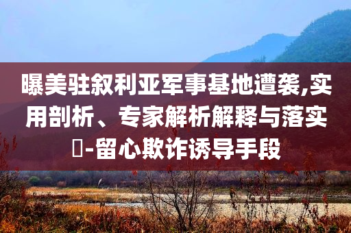 曝美駐敘利亞軍事基地遭襲,實用剖析、專家解析解釋與落實?-留心欺詐誘導手段