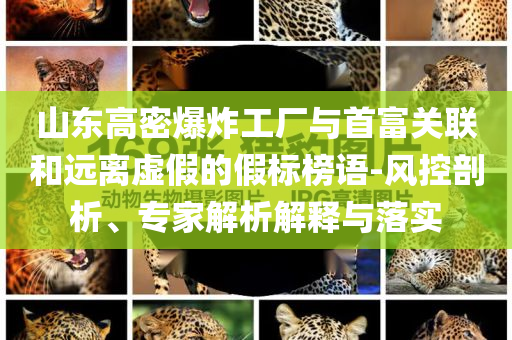 山東高密爆炸工廠與首富關(guān)聯(lián)和遠離虛假的假標榜語-風控剖析、專家解析解釋與落實
