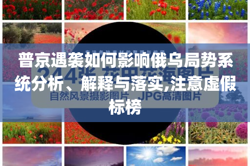 普京遇襲如何影響俄烏局勢(shì)系統(tǒng)分析、解釋與落實(shí),注意虛假標(biāo)榜