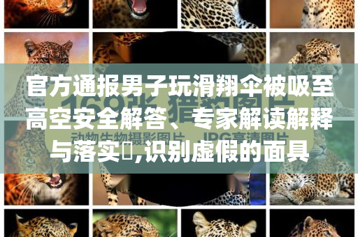 官方通報(bào)男子玩滑翔傘被吸至高空安全解答、專家解讀解釋與落實(shí)?,識(shí)別虛假的面具
