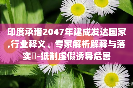 印度承諾2047年建成發(fā)達(dá)國家,行業(yè)釋義、專家解析解釋與落實(shí)?-抵制虛假誘導(dǎo)危害
