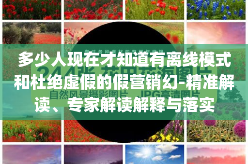 多少人現(xiàn)在才知道有離線模式和杜絕虛假的假營銷幻-精準解讀、專家解讀解釋與落實