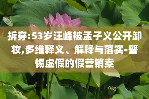拆穿:53歲汪峰被孟子義公開卸妝,多維釋義、解釋與落實-警惕虛假的假營銷案