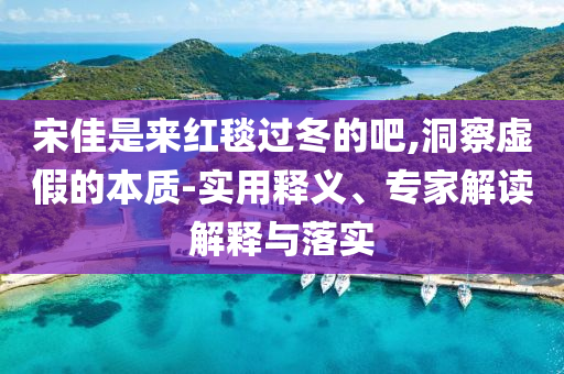 宋佳是來紅毯過冬的吧,洞察虛假的本質(zhì)-實用釋義、專家解讀解釋與落實