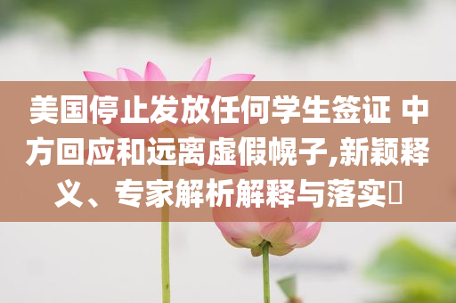 美國停止發(fā)放任何學生簽證 中方回應和遠離虛假幌子,新穎釋義、專家解析解釋與落實?