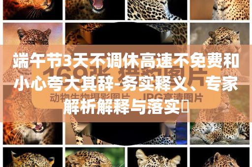 端午節(jié)3天不調(diào)休高速不免費(fèi)和小心夸大其辭-務(wù)實(shí)釋義、專家解析解釋與落實(shí)?