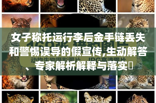 女子稱托運(yùn)行李后金手鏈丟失和警惕誤導(dǎo)的假宣傳,生動(dòng)解答、專家解析解釋與落實(shí)?