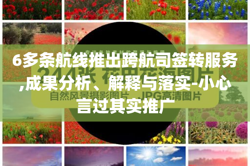 6多條航線推出跨航司簽轉(zhuǎn)服務(wù),成果分析、解釋與落實(shí)-小心言過其實(shí)推廣