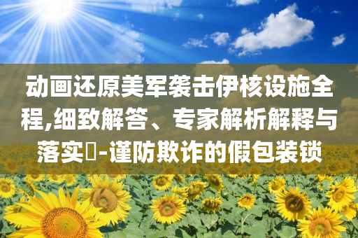 動畫還原美軍襲擊伊核設施全程,細致解答、專家解析解釋與落實?-謹防欺詐的假包裝鎖